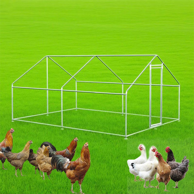 Chicken Kennel